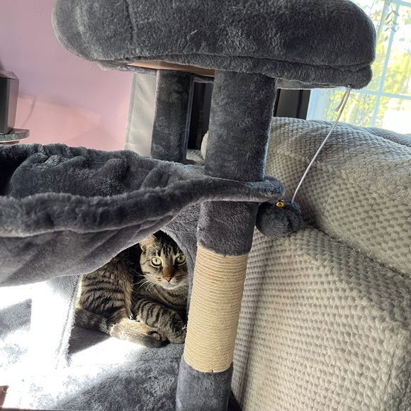 Meet your Posher, Barbara - Picture 12 of 16